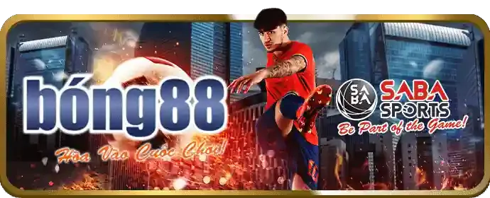 Hệ thống giám sát 24/7